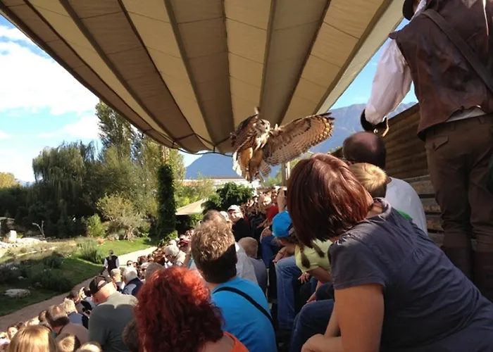 Onyx By Fewotessin 로카르노